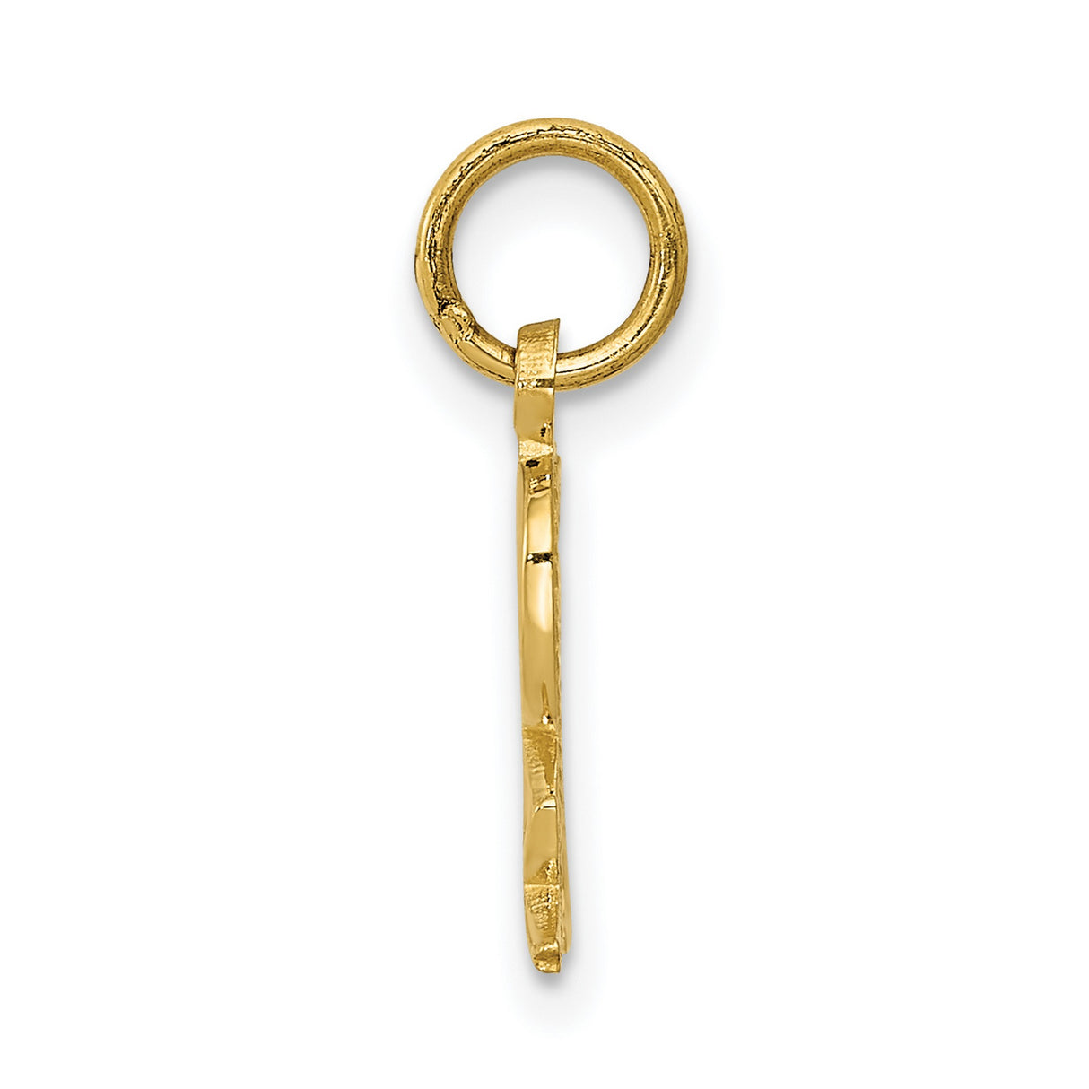 10k Yellow Gold RX Pendant, Medical Charm with Prescription Symbol for Pharmacists and Pharmacy Techs