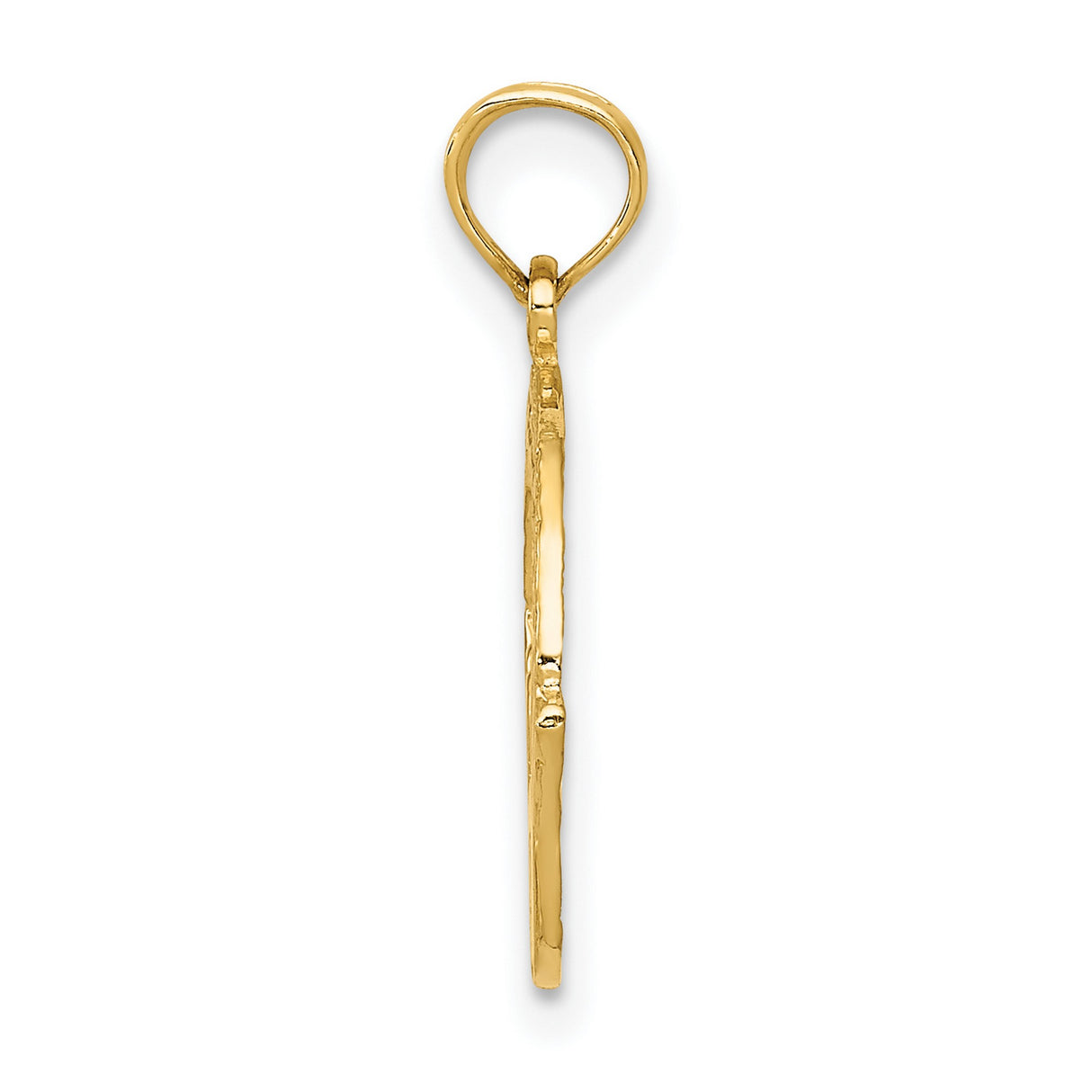 10k Yellow Gold Claddagh Pendant with Crowned Heart and Hands in Textured Circle Frame