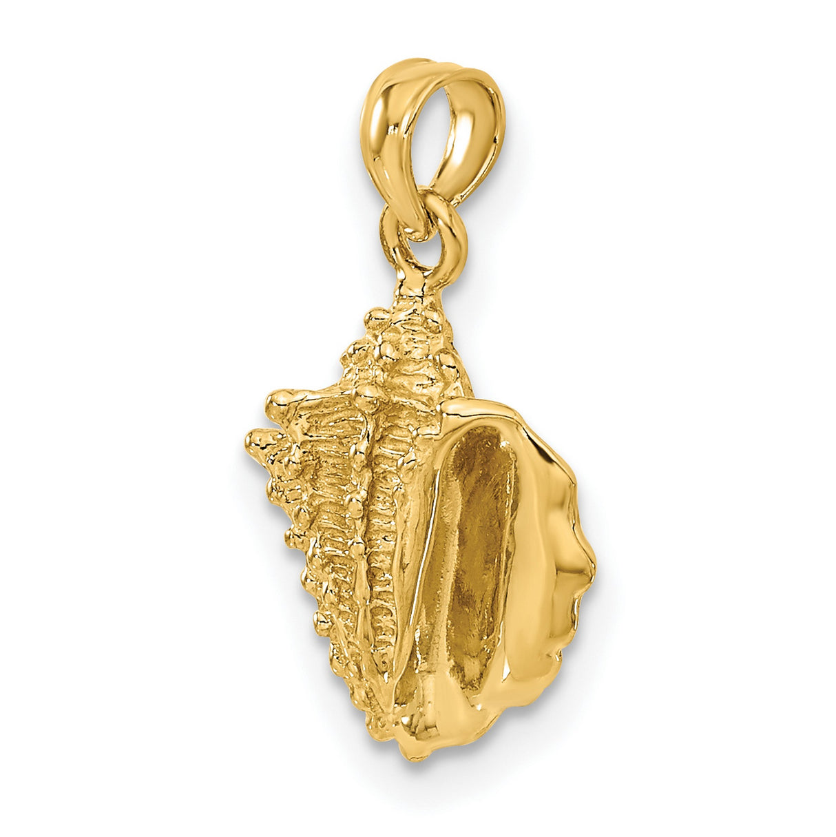 10k Yellow Gold Conch Shell Pendant, Nautical Coastal Charm for Women and Unisex Wear