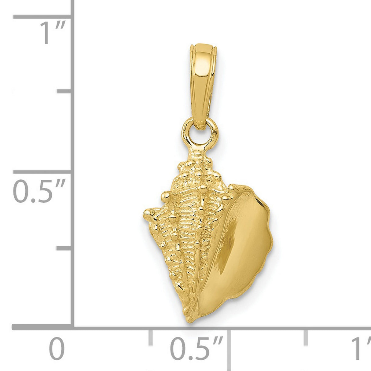 10k Yellow Gold Conch Shell Pendant, Nautical Coastal Charm for Women and Unisex Wear