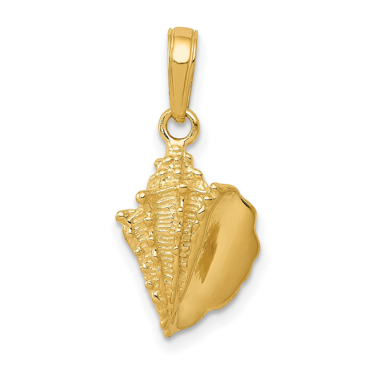 10k Yellow Gold Conch Shell Pendant, Nautical Coastal Charm for Women and Unisex Wear