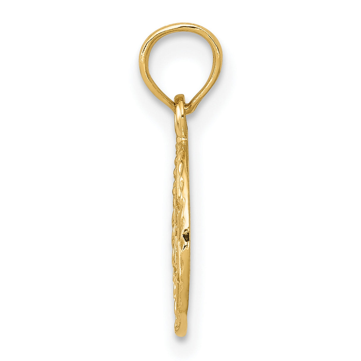 10k Yellow Gold Star of David Pendant with Hebrew Chai Symbol, Unisex Judaica Charm