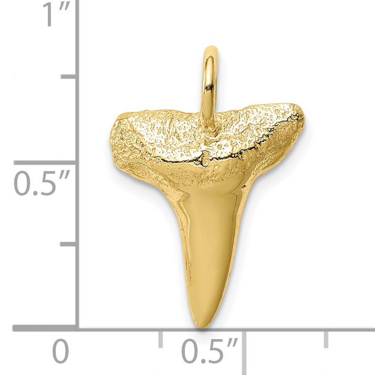 10k Yellow Gold Shark Tooth Pendant, Fossil-Inspired Marine Animal Charm for Men or Unisex Wear