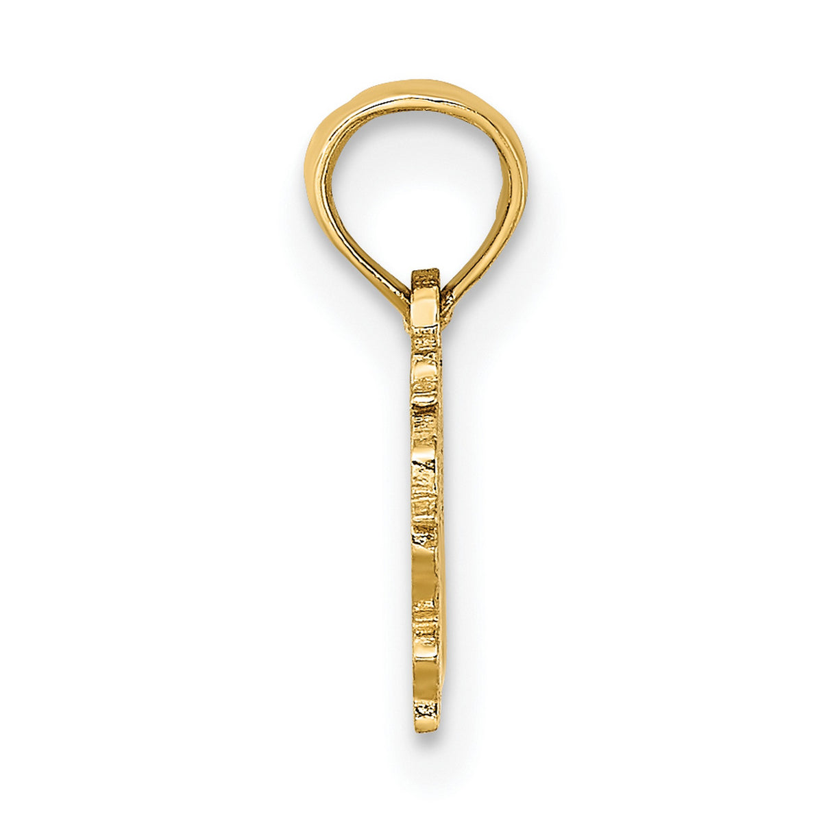 10k Yellow Gold Virgo Zodiac Pendant with Female Symbol and 100 Percent Virgo Phrase