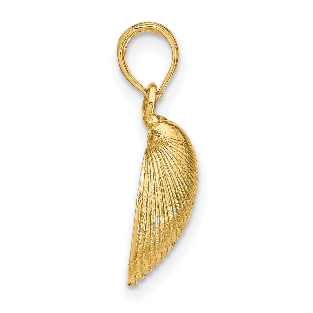 10k Yellow Gold Pendant with Detailed Seashell Design, Nautical Coastal Theme for Women