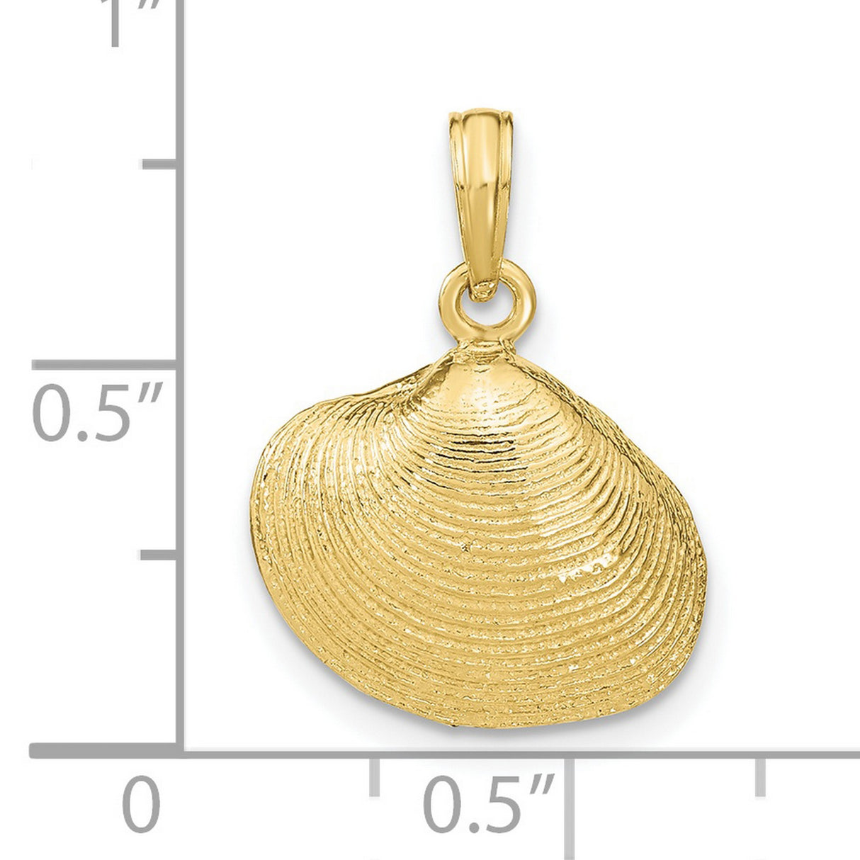 10k Yellow Gold Pendant with Detailed Seashell Design, Nautical Coastal Theme for Women