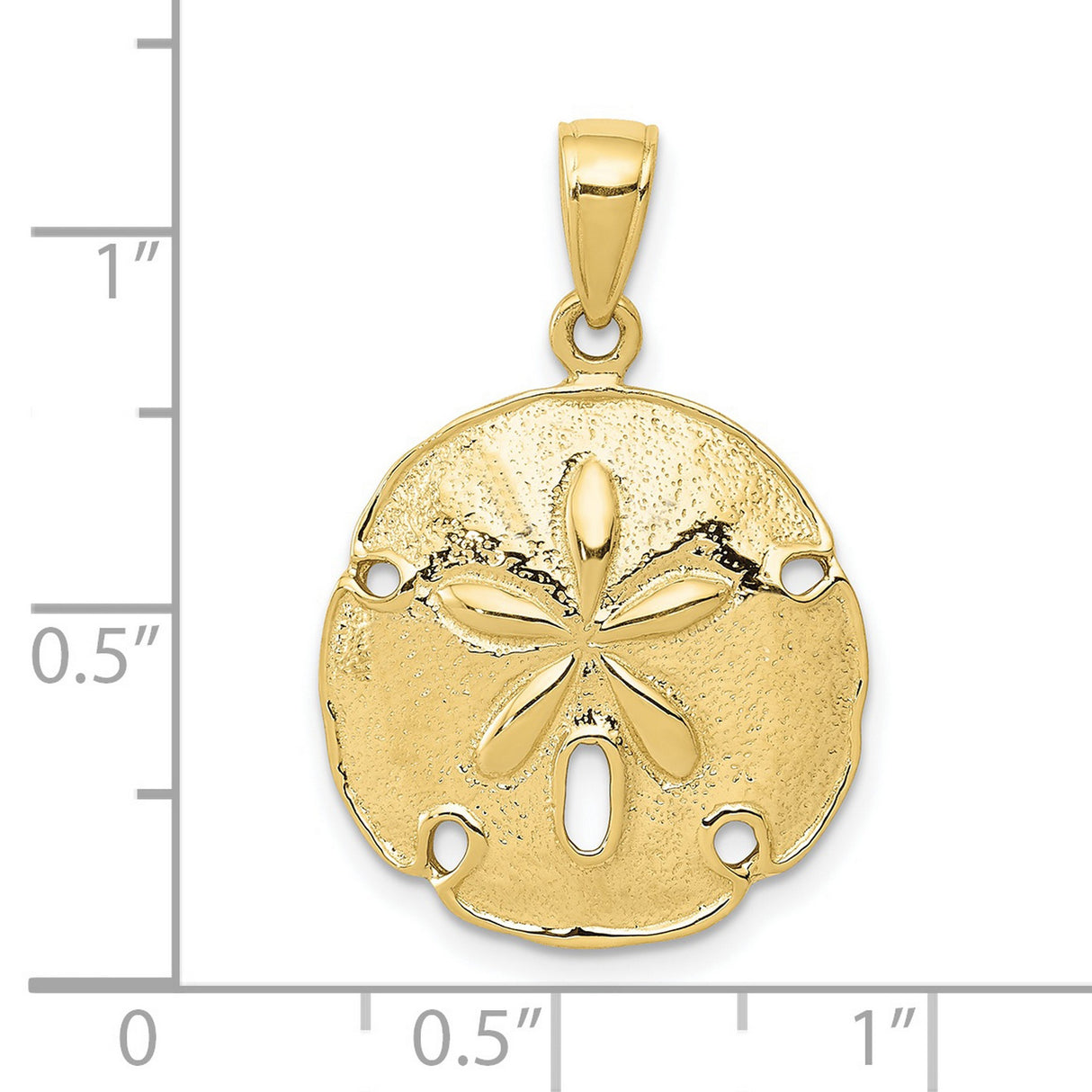 10k Yellow Gold Sand Dollar Pendant, Nautical Coastal Charm, Marine Life Design for Women