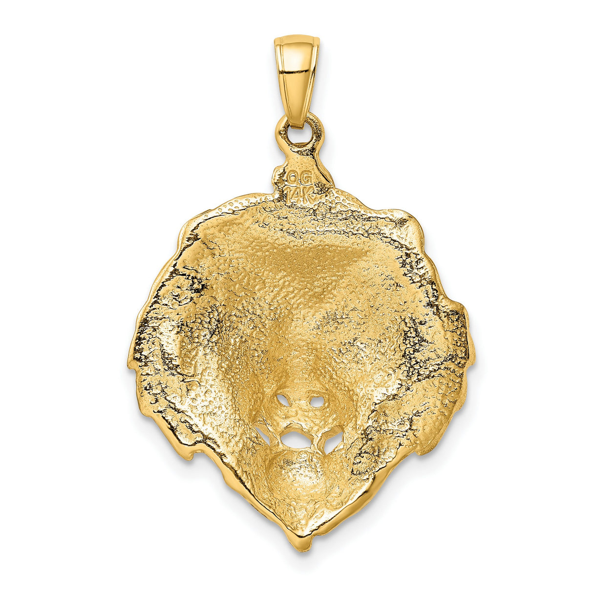 10k Yellow Gold Lion Head Pendant, Bold Regal Medallion with Urban Style for Men and Unisex Wear