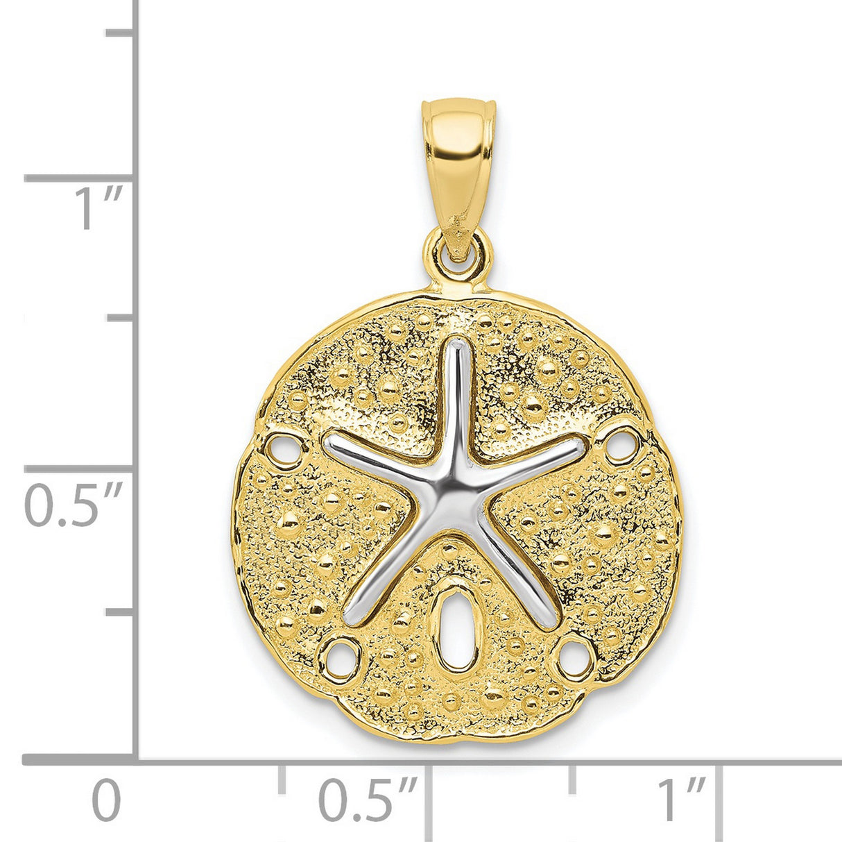 10k Two-Tone Gold Sand Dollar Pendant with Raised Starfish Design, Nautical Ocean Theme