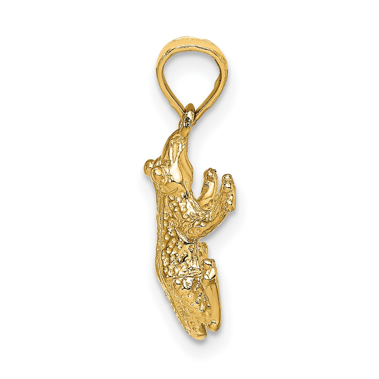 10k Yellow Gold Frog Pendant, Textured Animal Totem Jewelry for Women or Men