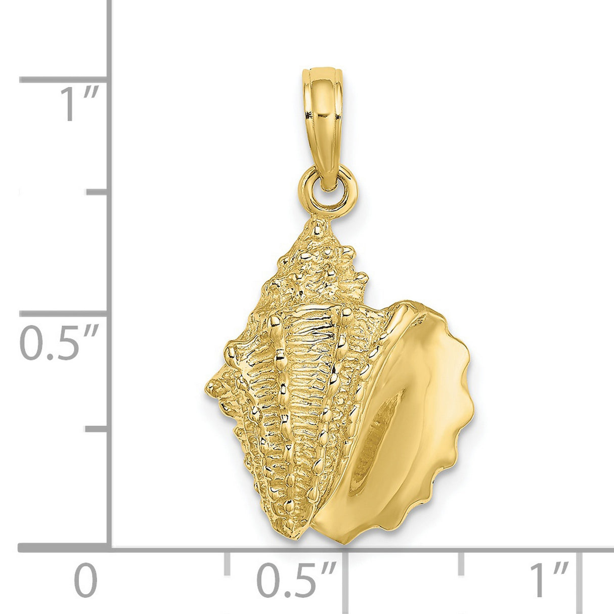 10k Yellow Gold Conch Shell Pendant with Ocean-Inspired Nautical Design for Women