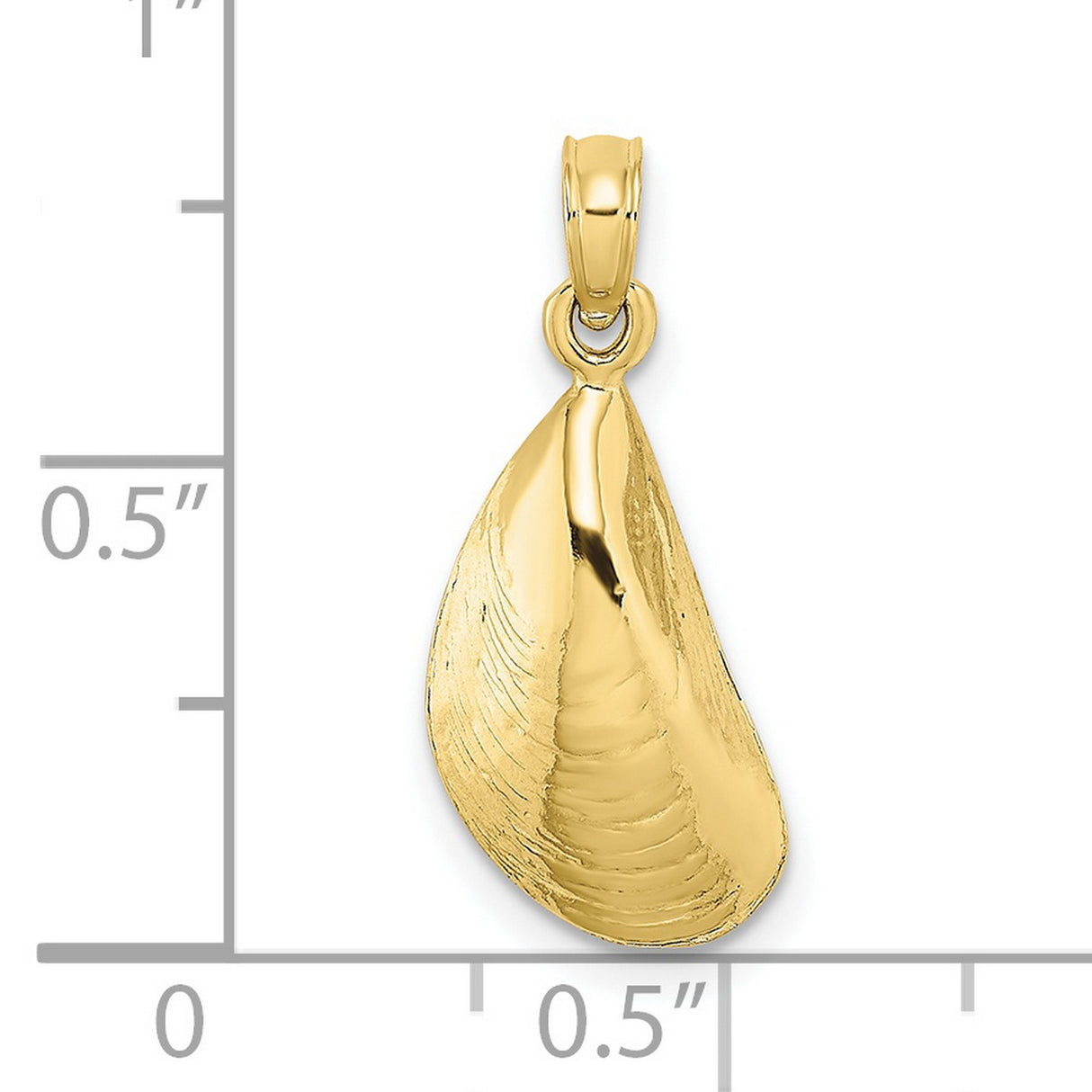 10k Yellow Gold Mussel Shell Pendant, Realistic Ocean-Inspired Coastal Charm for Women