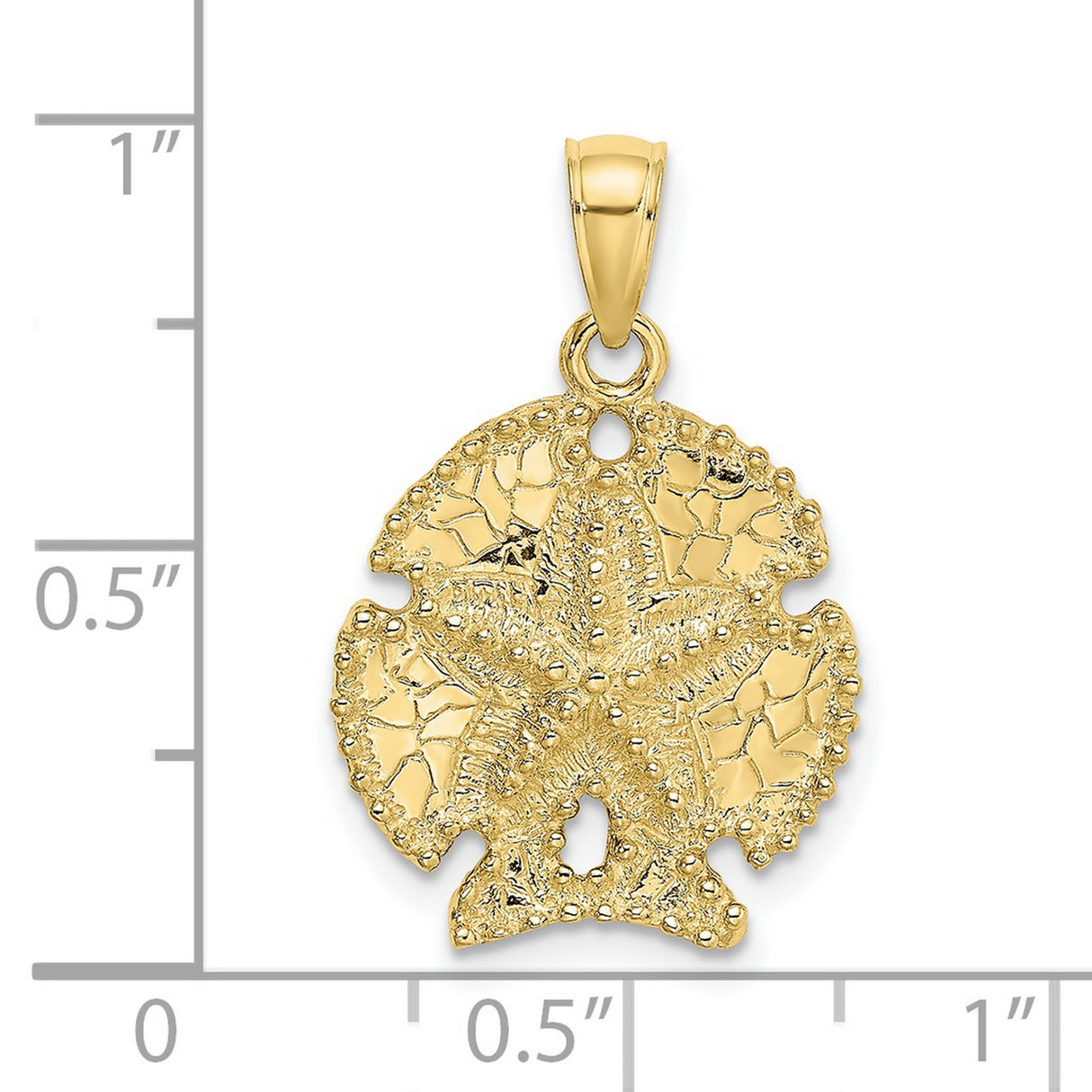 10k Yellow Gold Sand Dollar Pendant with Textured Starfish, Coastal Nautical Jewelry
