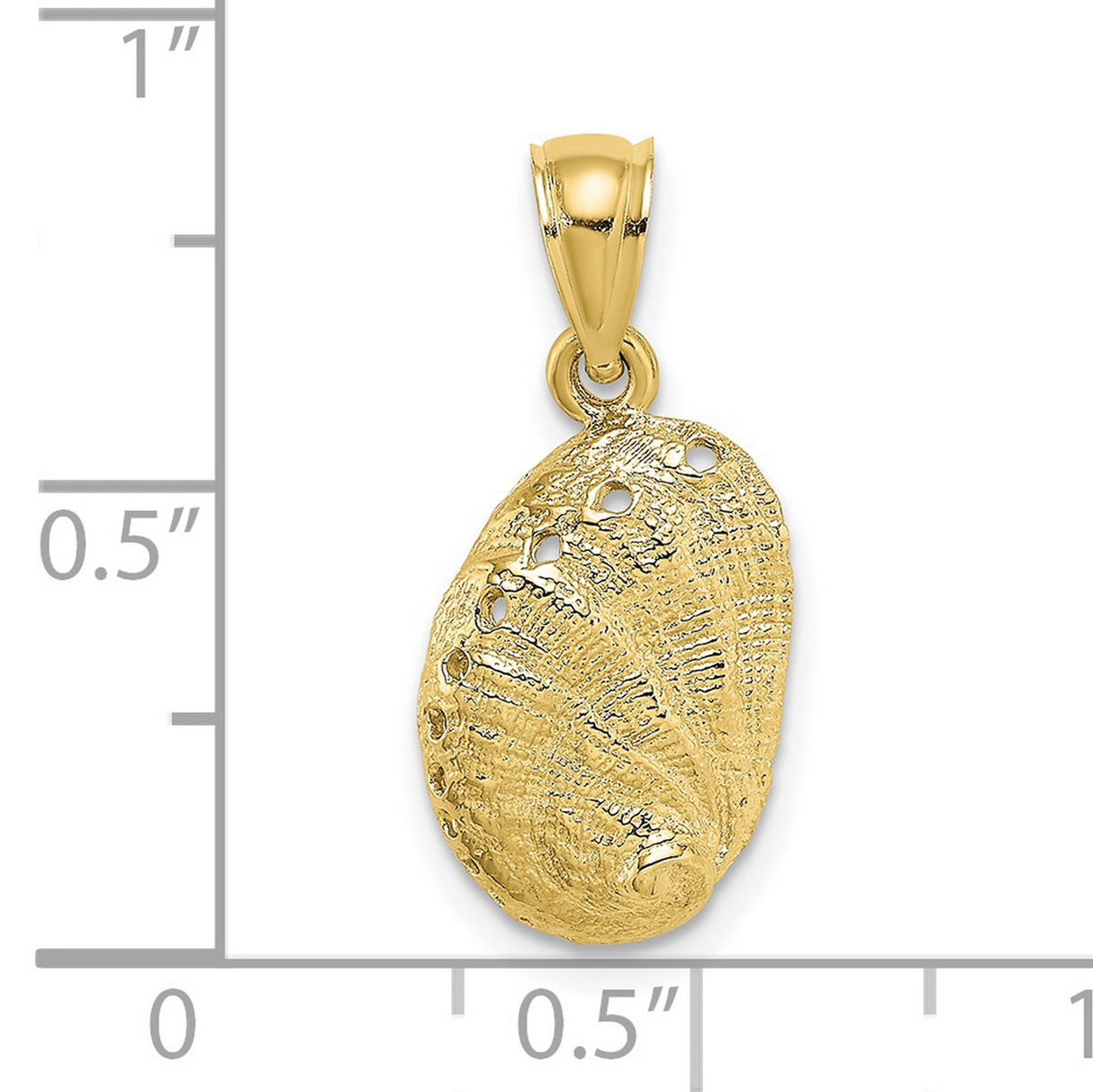 10k Yellow Gold Pendant with Abalone Shell, Textured Nautical Coastal Design for Women