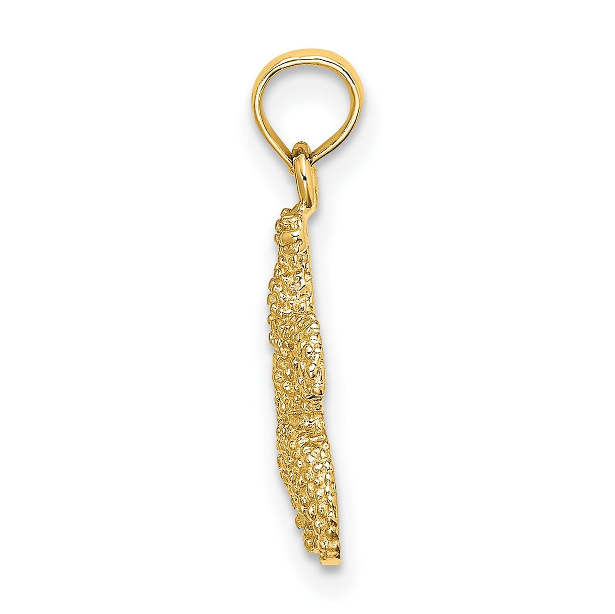 10k Yellow Gold Starfish Pendant with Textured Finish, Nautical Coastal Charm for Women