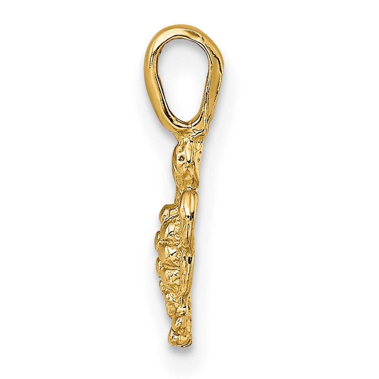 10k Yellow Gold Turtle Pendant, Detailed Sea Turtle Charm, Ocean Animal Jewelry