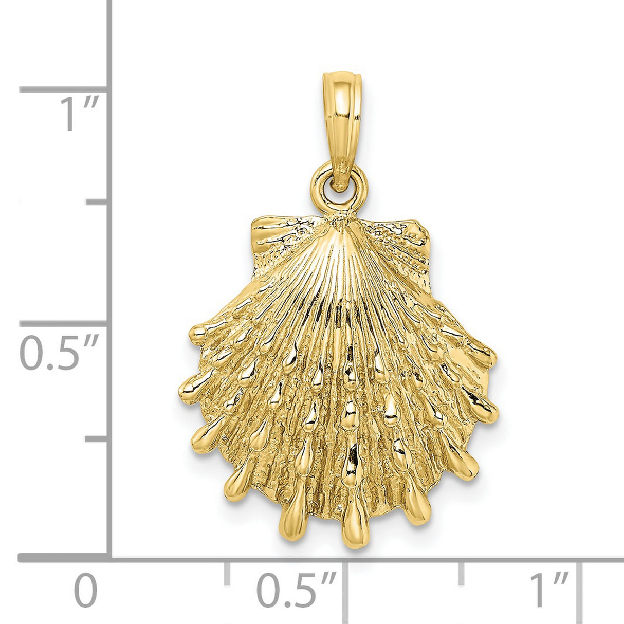 10k Yellow Gold Scallop Shell Pendant, Textured Nautical Christian Charm for Women