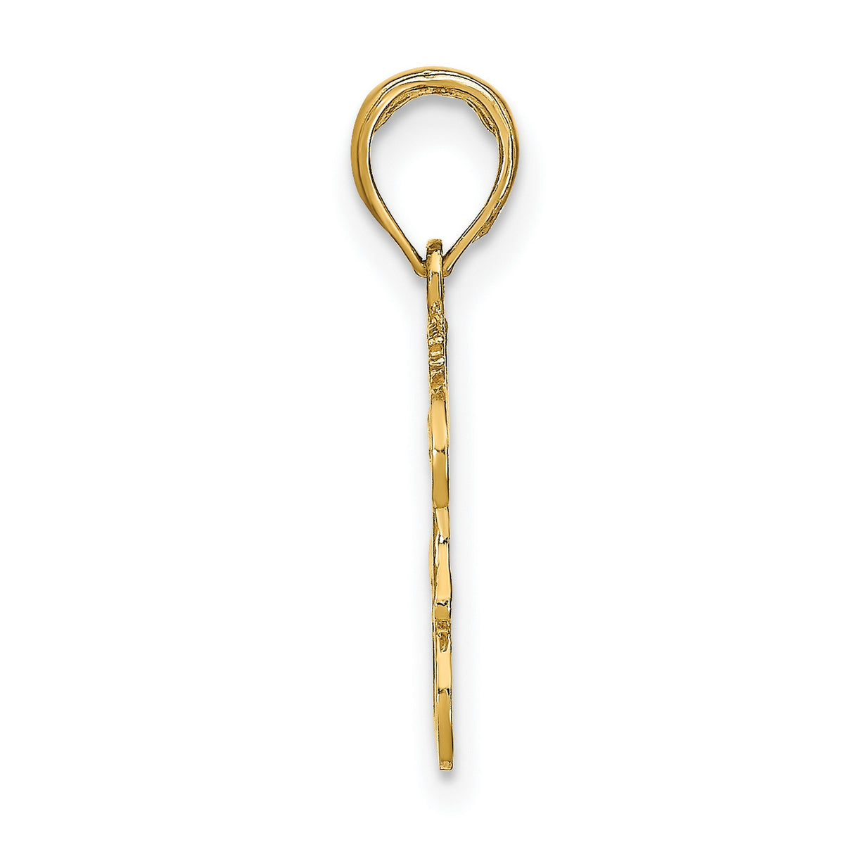 10k Yellow Gold Zodiac Pendant with Bold Leo Lion Design and LEO Lettering