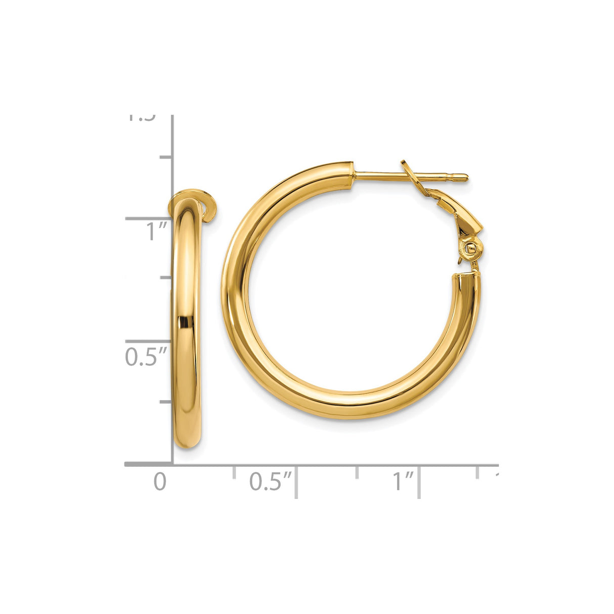 10k Yellow Gold Hoop Earrings, Classic Round Medium Hoops with High Polish Finish for Women