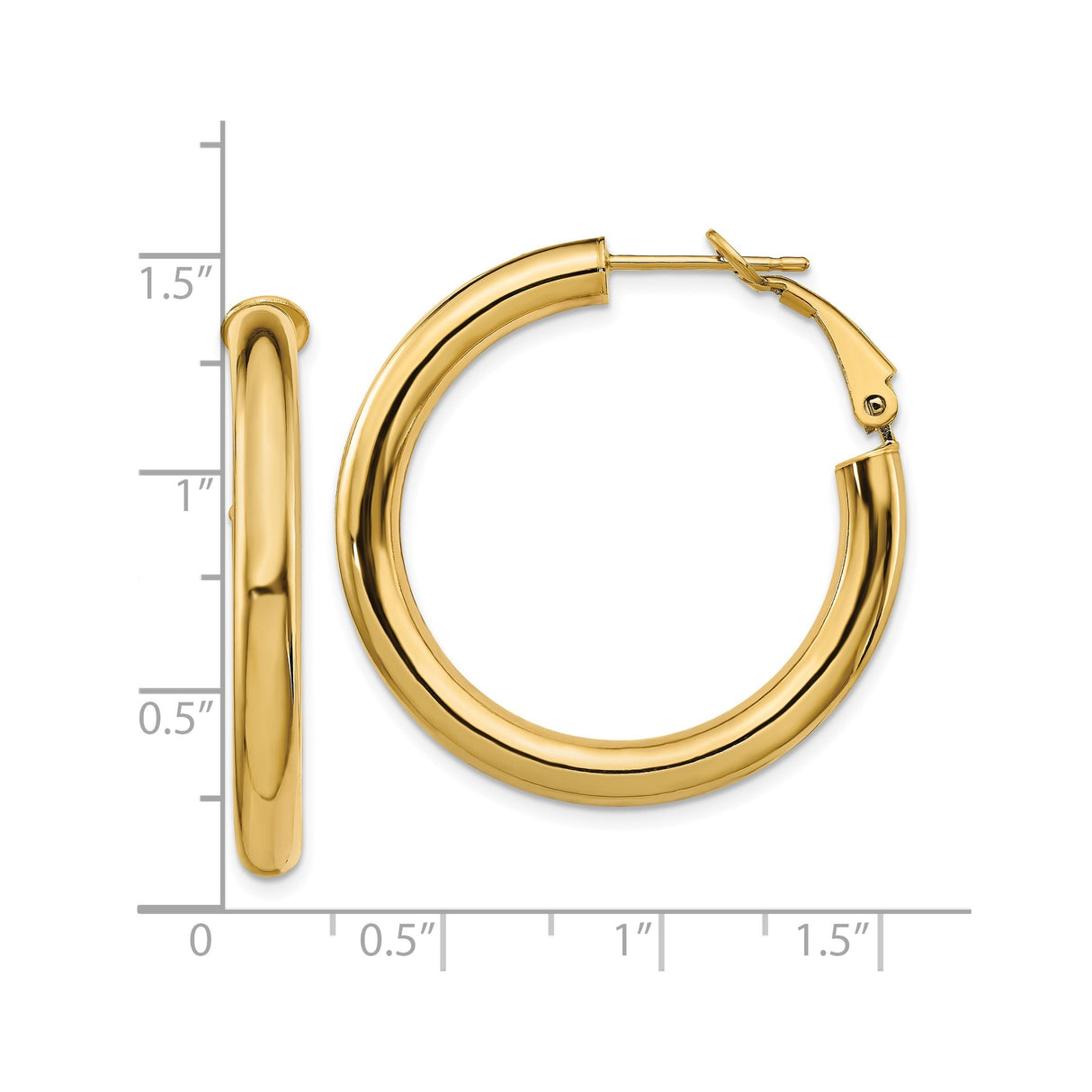 10k Yellow Gold Hoop Earrings with Omega Back, Classic Polished Lightweight Design for Women