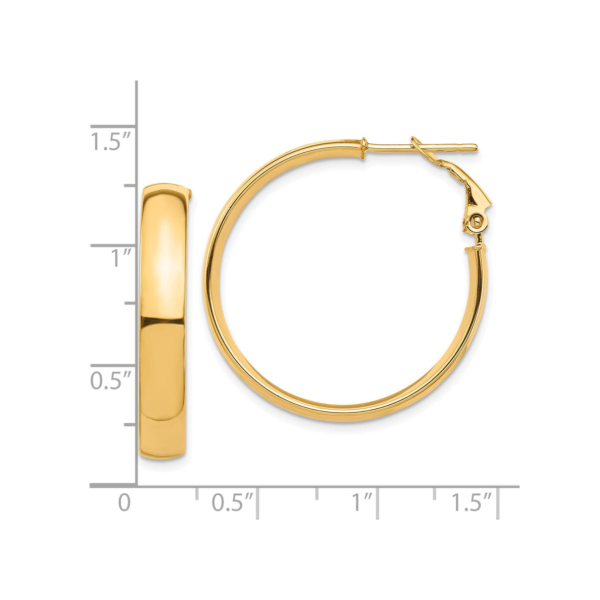 10k Yellow Gold Hoop Earrings, Polished Medium Round Hoops with Hinged Back Closure