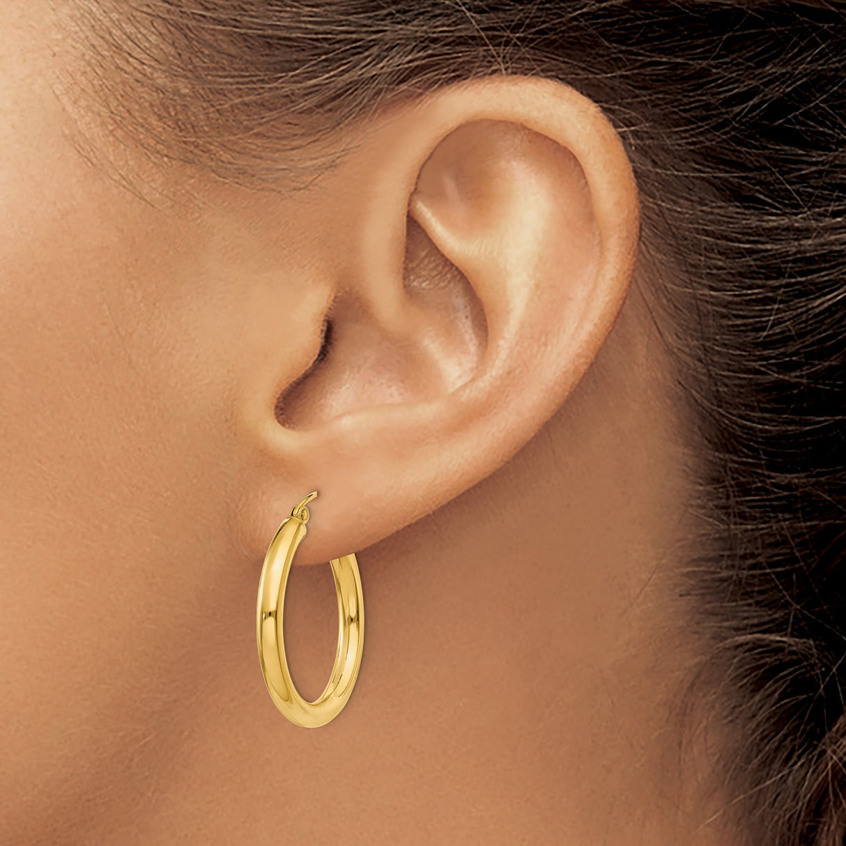 10k Yellow Gold Hoop Earrings, Medium Lightweight Polished Round Design for Women