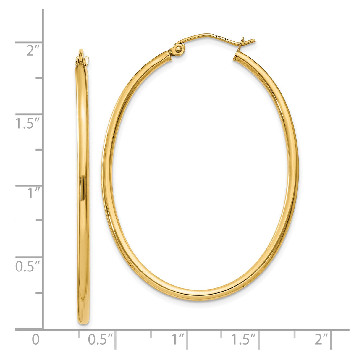 10k Yellow Gold Hoop Earrings, Classic Round Lightweight Design for Women
