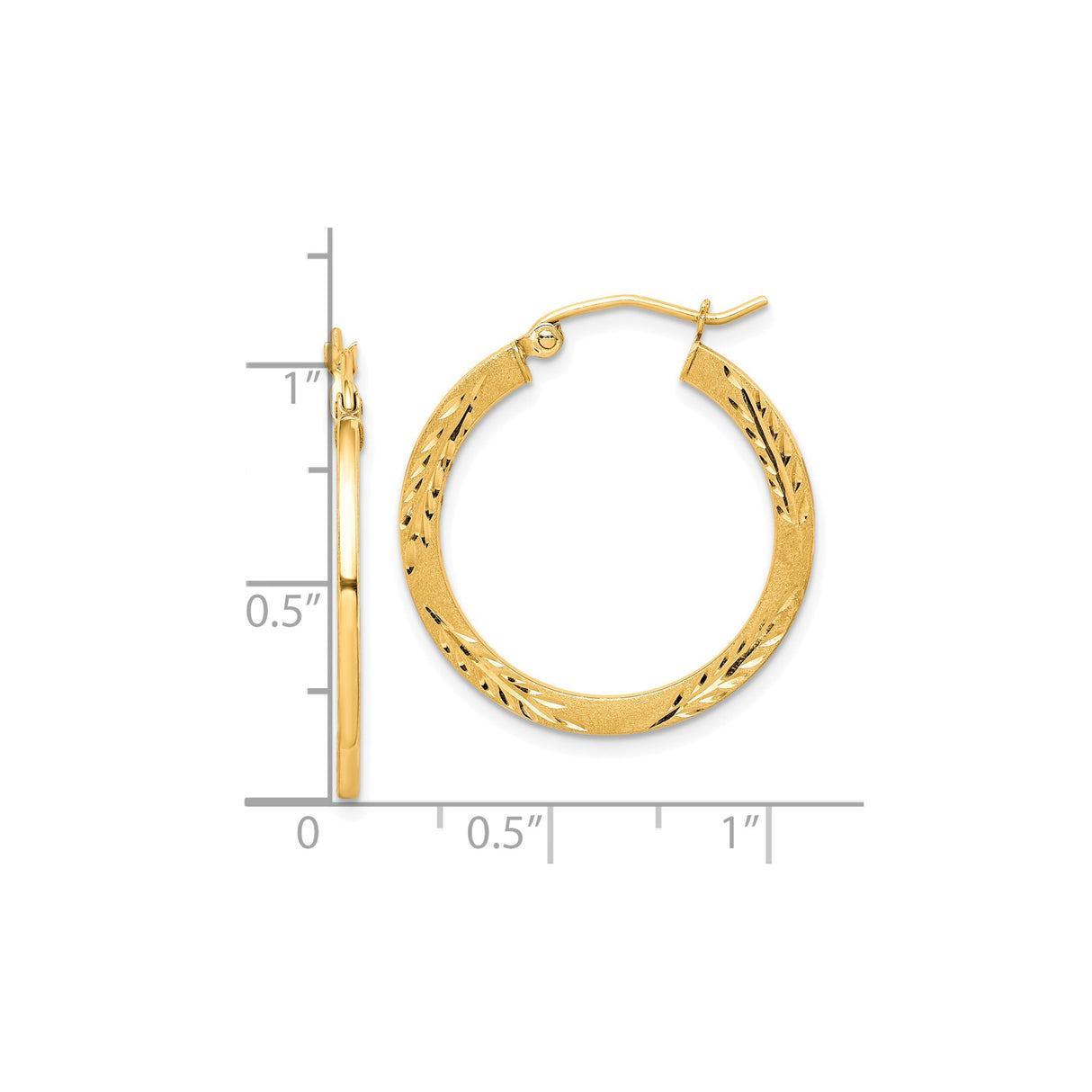 10k Yellow Gold Hoop Earrings with Matte Textured Finish and Laurel Leaf Motif