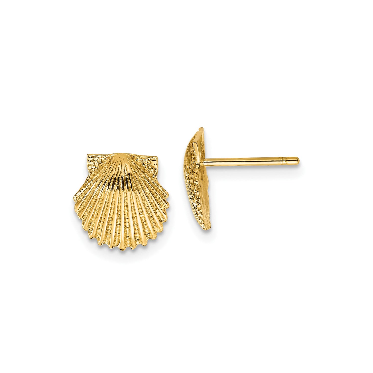 10k Yellow Gold Scallop Shell Stud Earrings, Coastal Nautical Style for Women