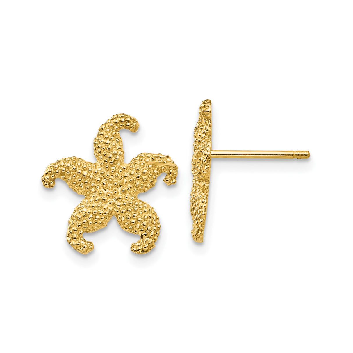 10k Yellow Gold Starfish Stud Earrings, Textured Coastal Nautical Theme for Women