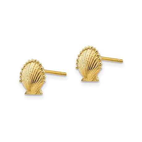 10k Yellow Gold Stud Earrings, Scallop Shell Coastal Marine Life Theme for Women