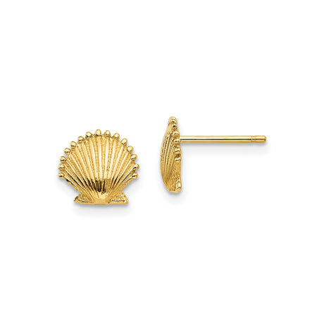 10k Yellow Gold Stud Earrings, Scallop Shell Coastal Marine Life Theme for Women