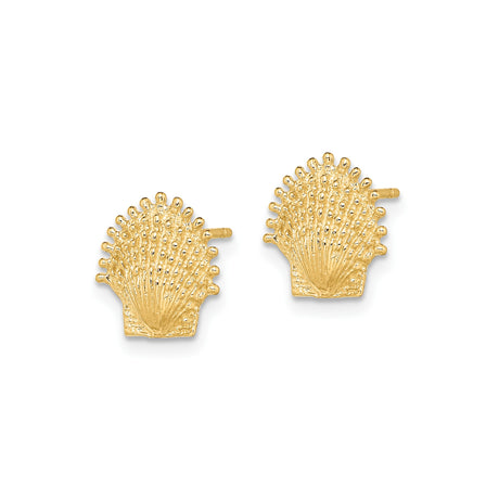 10k Yellow Gold Seashell Stud Earrings, Textured Scallop Shell Design, Nautical Summer Style