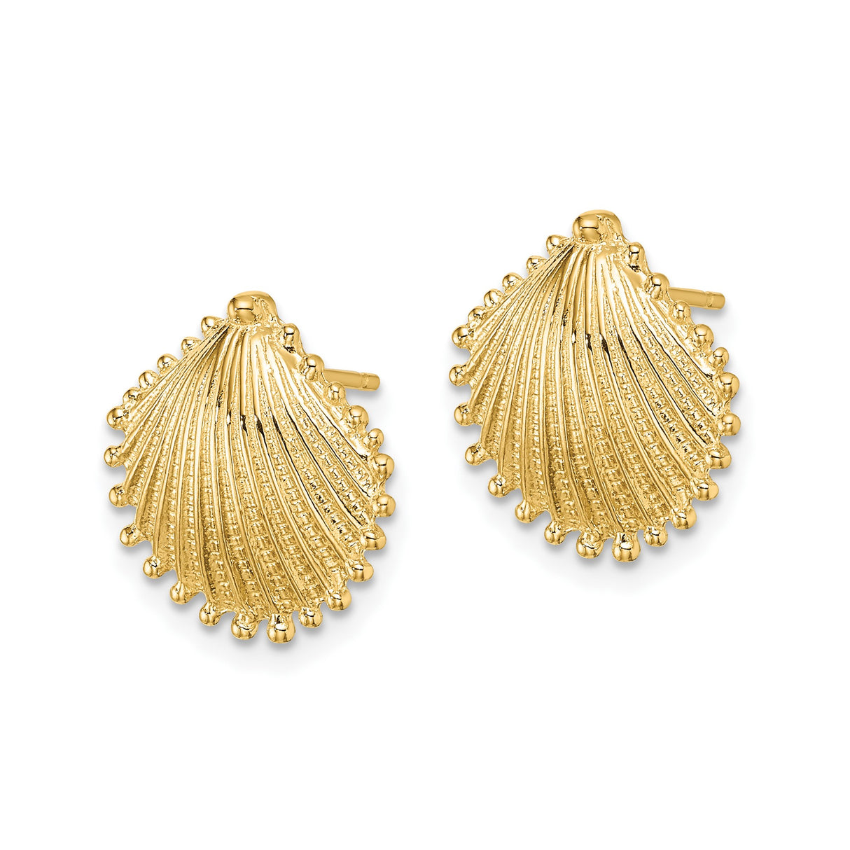10k Yellow Gold Seashell Stud Earrings with Scallop Design, Nautical Coastal Style