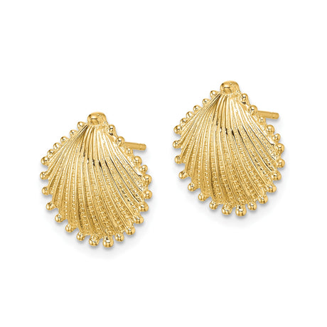 10k Yellow Gold Seashell Stud Earrings with Scallop Design, Nautical Coastal Style