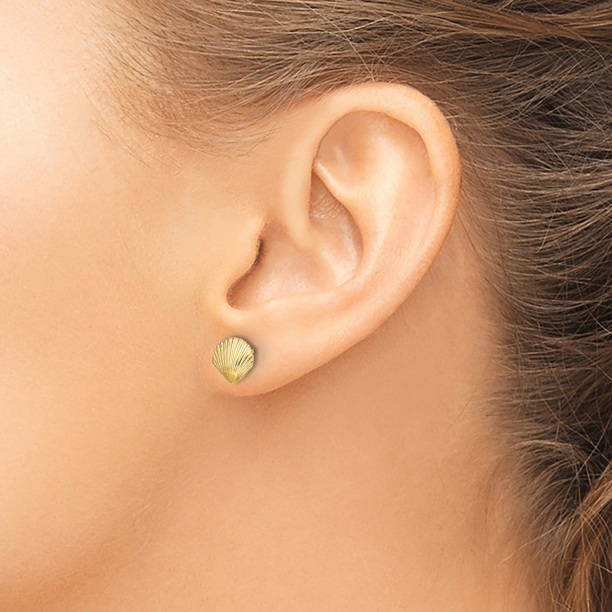 10k Yellow Gold Stud Earrings with Seashell Design, Nautical Coastal Theme for Women