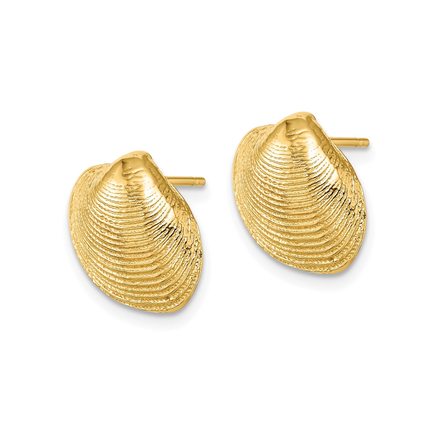 10k Yellow Gold Seashell Stud Earrings, Clam Shell Design, Ocean-Inspired Coastal Style