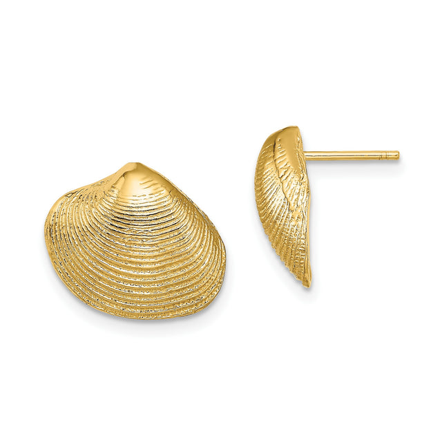 10k Yellow Gold Seashell Stud Earrings, Clam Shell Design, Ocean-Inspired Coastal Style