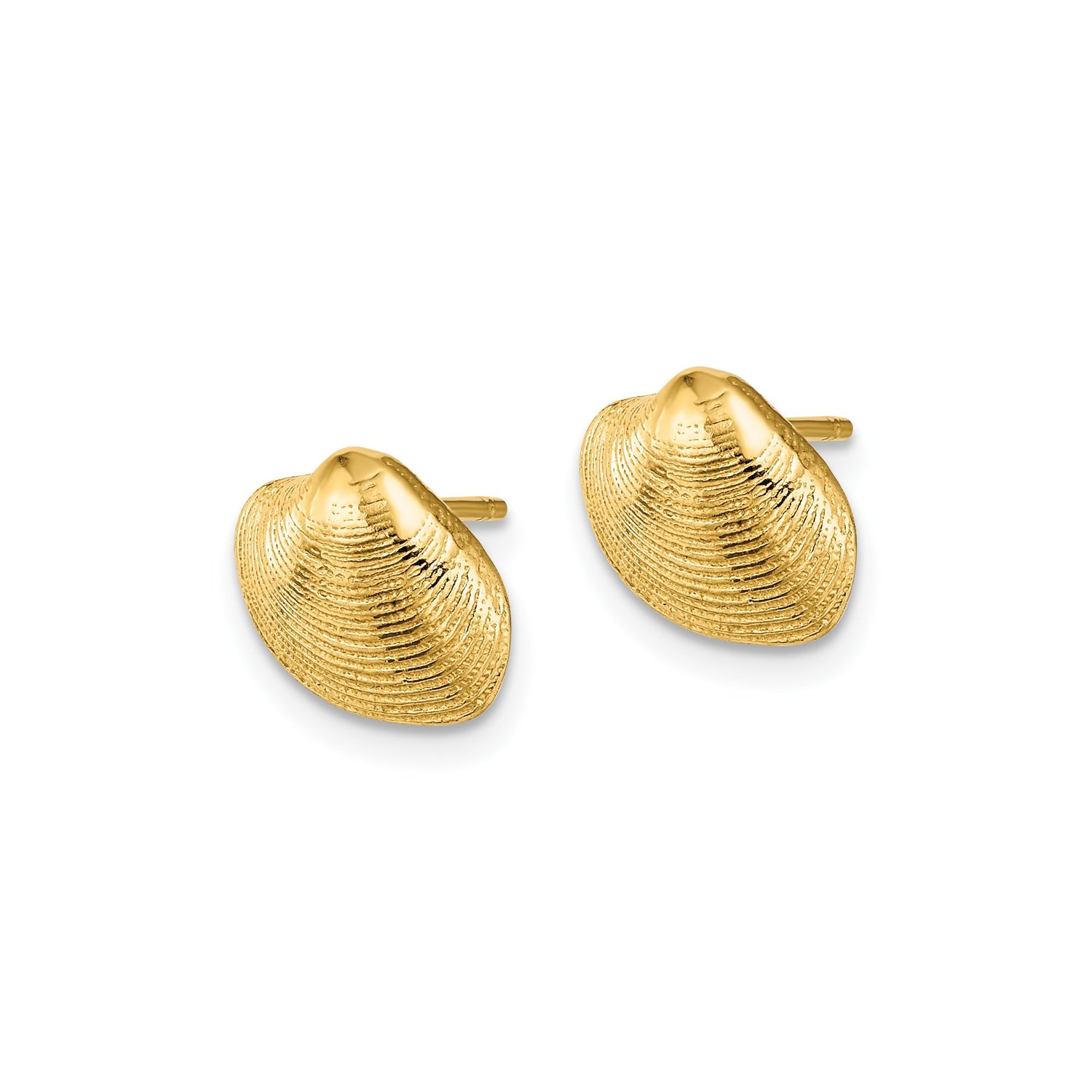 10k Yellow Gold Seashell Stud Earrings with Textured Clam Shell Design, Nautical Coastal Style
