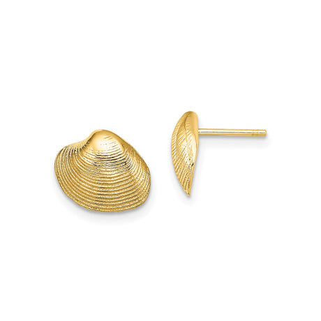 10k Yellow Gold Seashell Stud Earrings with Textured Clam Shell Design, Nautical Coastal Style