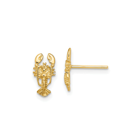 10k Yellow Gold Lobster Stud Earrings, Nautical Coastal Theme Jewelry for Women or Unisex