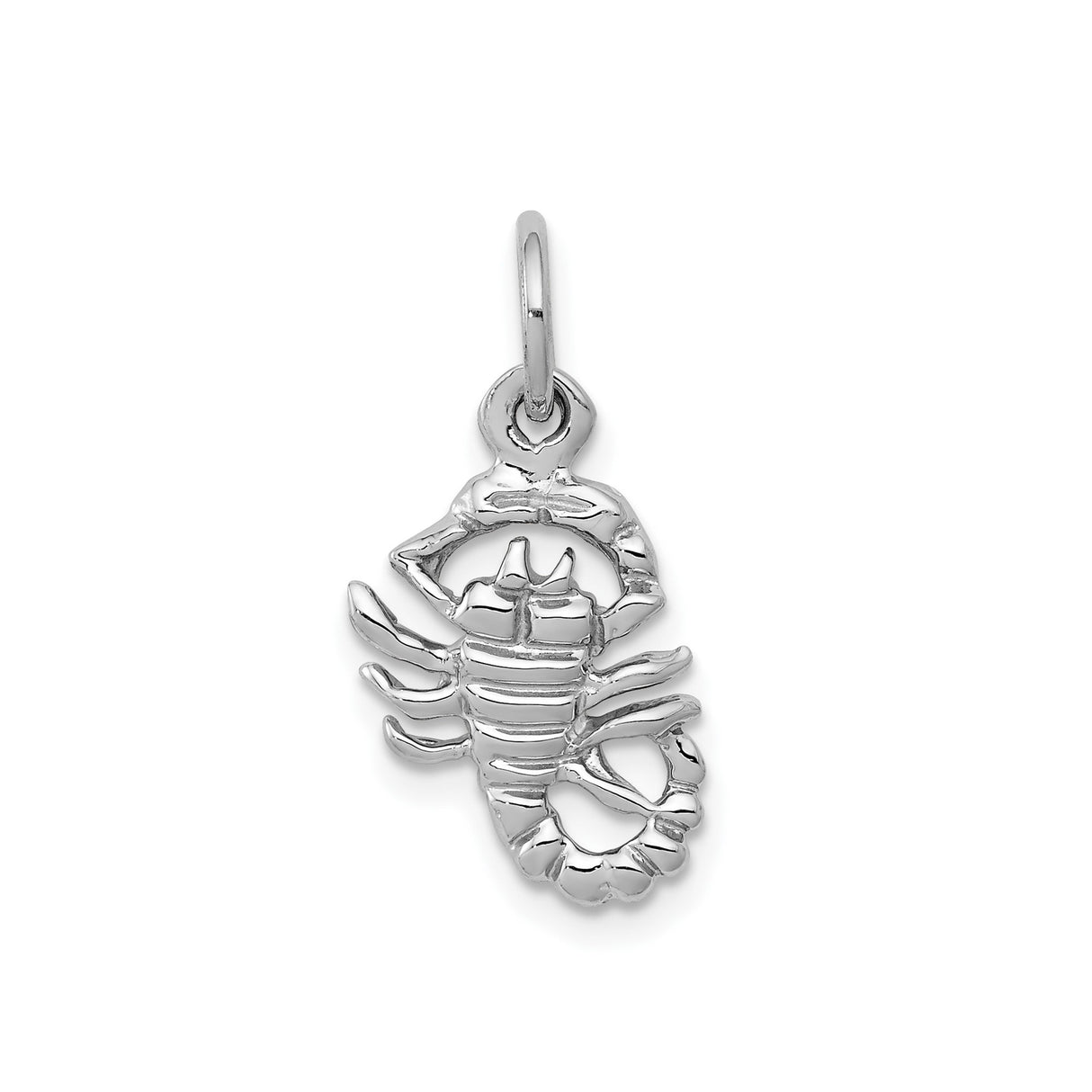 10k White Gold Scorpion Pendant, Detailed Scorpio Zodiac Talisman for Men or Unisex