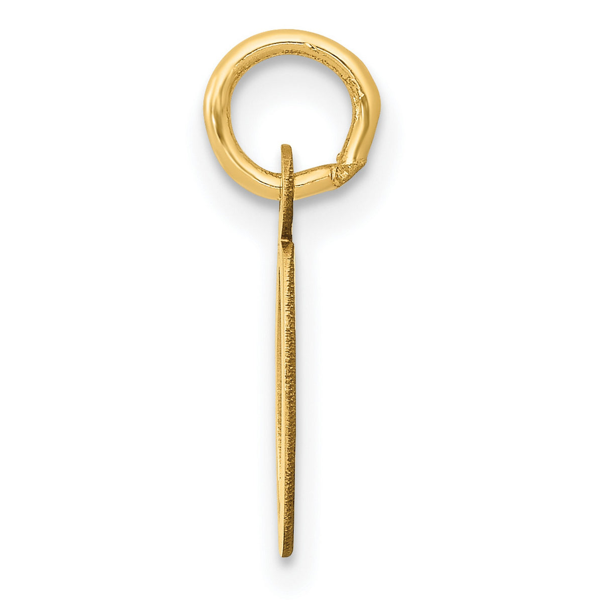 10k Yellow Gold Ichthys Fish Pendant, Minimalist Christian Symbol Jewelry for Women or Unisex