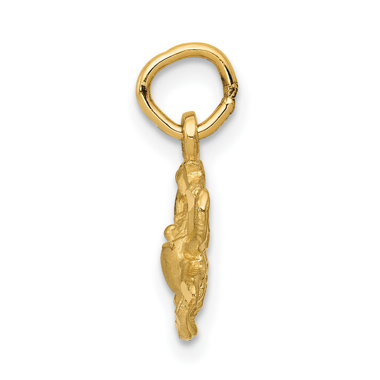 10k Yellow Gold Crab Pendant, Cancer Zodiac Symbol Charm Astrology Jewelry for Women or Unisex