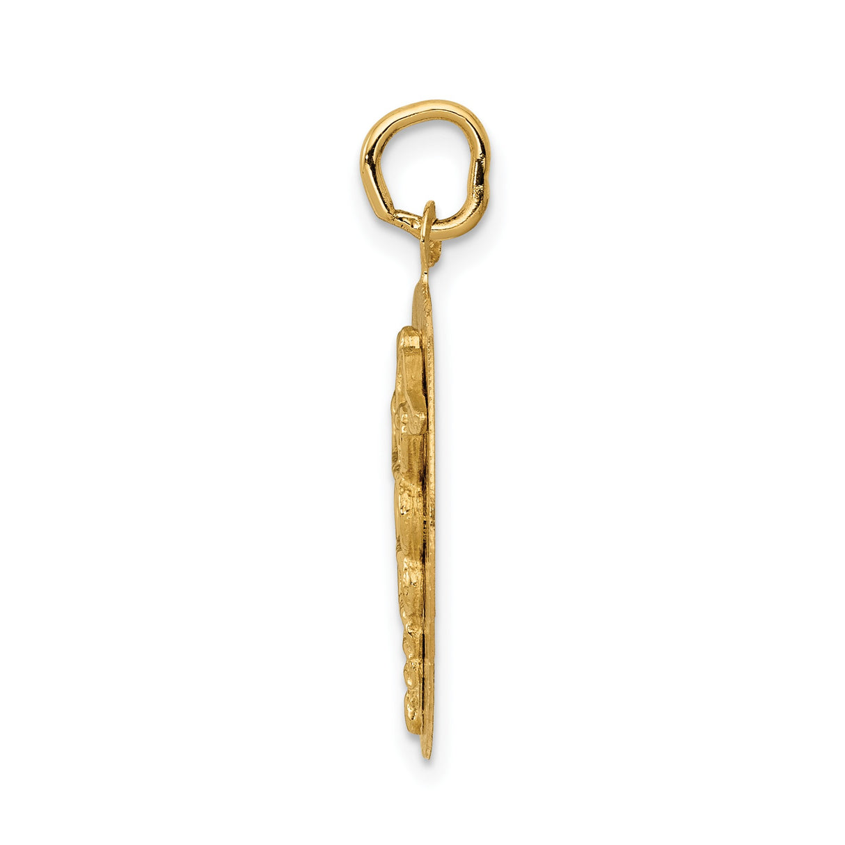 14k Yellow Gold Caduceus Pendant, Round Disc Medical Symbol with Winged Staff and Snakes