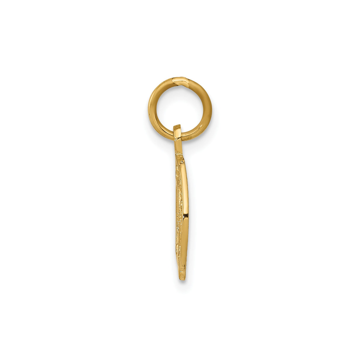 14k Yellow Gold Horseshoe Pendant with Textured Diamond Cut Finish, Good Luck Charm Jewelry