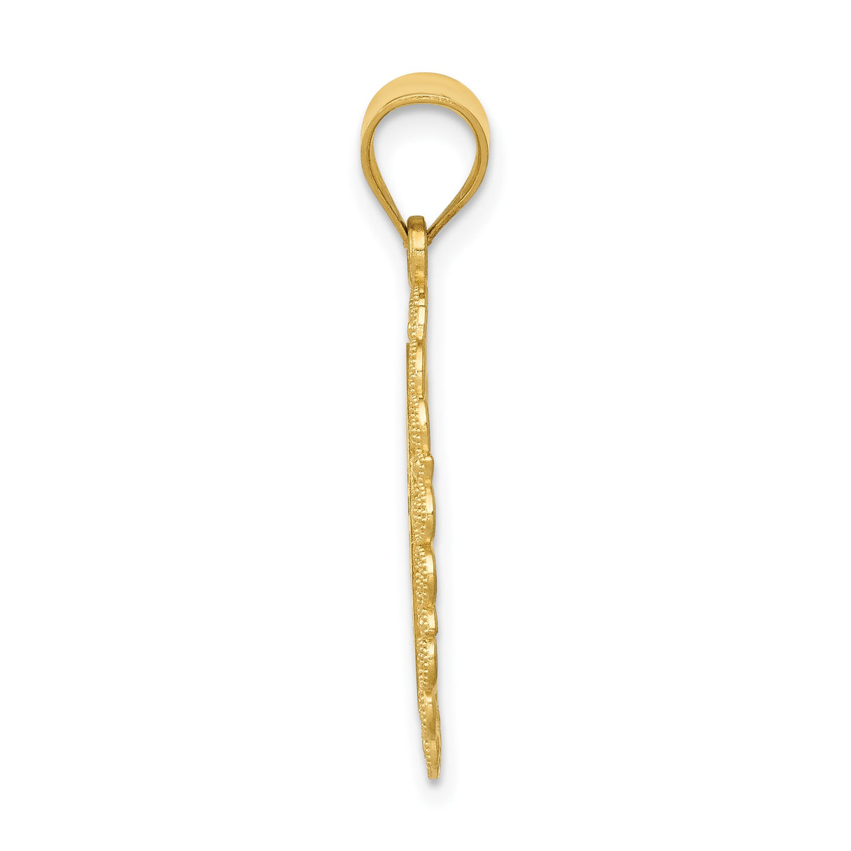 14k Yellow Gold Aquarius Zodiac Pendant with Water Bearer Symbol and Filigree Border