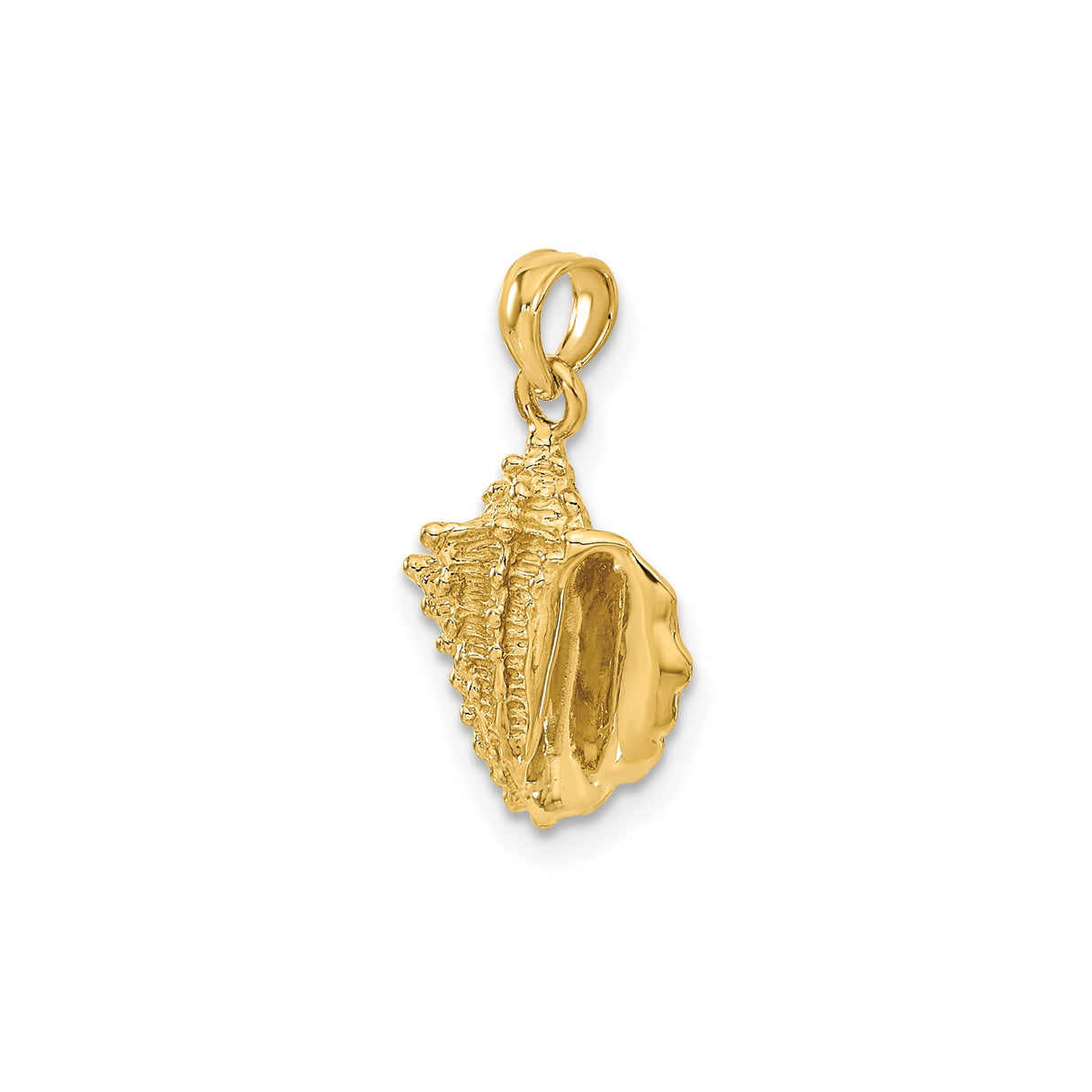 14k Yellow Gold Conch Shell Pendant, Realistic Textured Nautical Charm for Women and Men