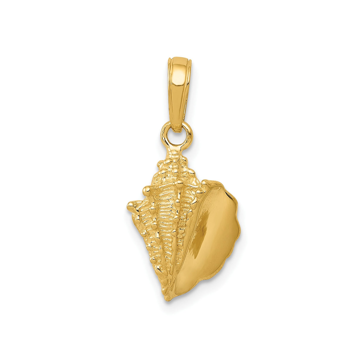 14k Yellow Gold Conch Shell Pendant, Realistic Textured Nautical Charm for Women and Men