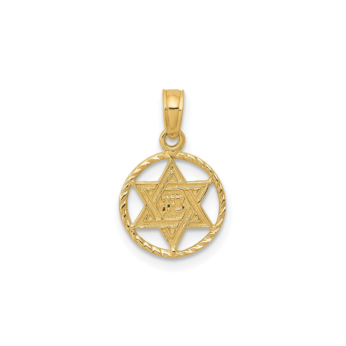 14k Yellow Gold Star of David Pendant with Hebrew Chai Symbol, Jewish Religious Charm